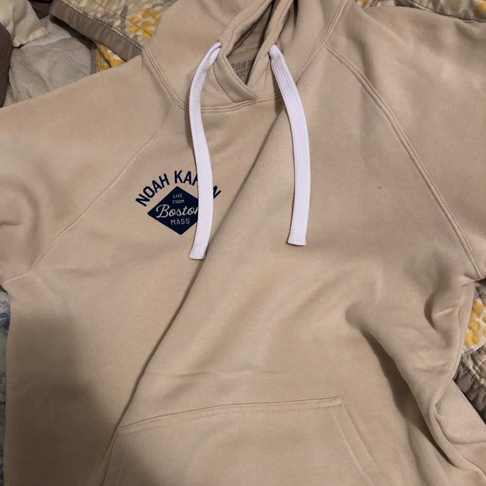 Noah Kahan Fenway Hoodie